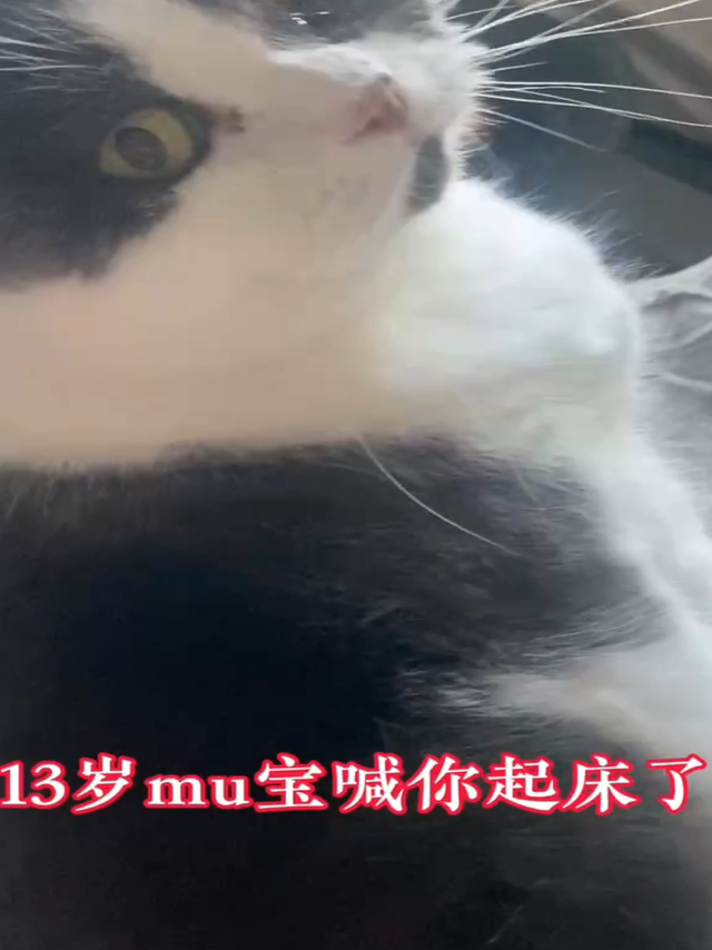 起床干活
