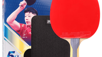 新手别乱买！红双喜五星和双鱼九星到底谁更适合你？