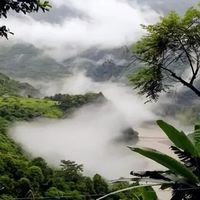 西安1.5小时直达高山杜鹃花海,新手友好登顶终南山