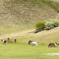 前风挡遮阳挡