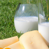 a2品牌的奶粉怎么样？三款a2乳铁蛋白中老年奶粉全面解析