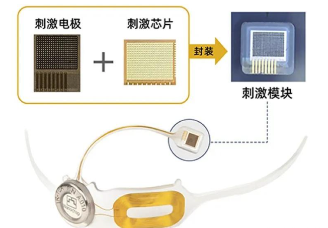 国内首例!国产脑机接口成功使盲人复明,为失明人群迎来希望