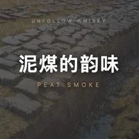 500元内三款泥煤威士忌怎么选？新手避雷指南+风味对比