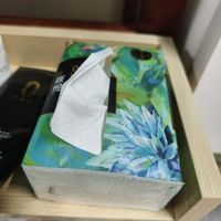 湿水不破的抽纸怎么选？洁柔VS维达实测对比，敏感肌和厨房党看这篇就够了