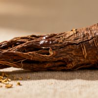 当归用量有讲究：3克养血，15克活血，用错反伤身