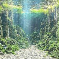 溪流缸造景：石头这样摆，水流自然鱼欢畅