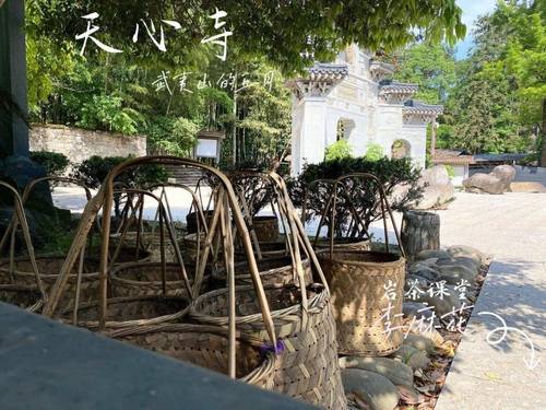 “牛肉”岩茶价格腰斩！是泡沫破裂还是入手良机？