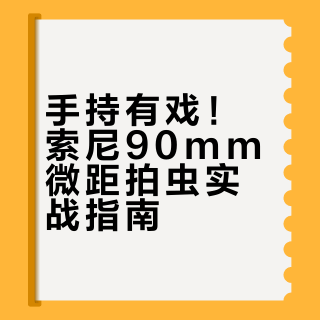 手持有戏！索尼90mm微距拍虫实战指南