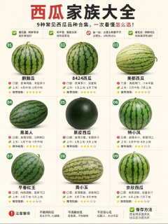 别在胡乱选西瓜了，看看西瓜主要种类（按市面常见分类）再决定
