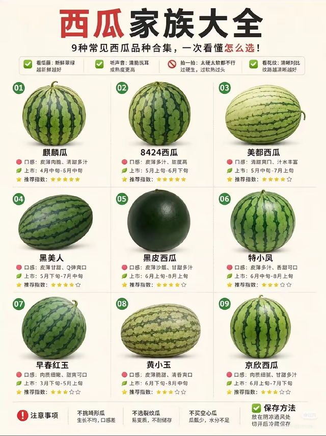 别在胡乱选西瓜了，看看西瓜主要种类（按市面常见分类）再决定