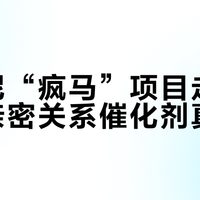 迪士尼“疯马”项目走红背后的亲密关系催化剂真相