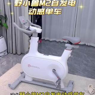 怕选错动感单车?这两款实测对比帮你避坑