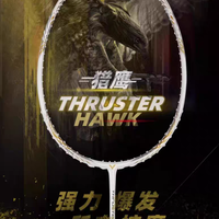 别被“糖水拍”骗了！小隼其实是中级双打玩家的高门槛进攻利器