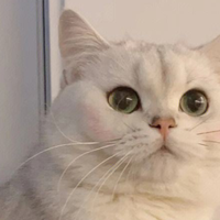 猫咪黑下巴反复怎么办？国产猫粮对比：含CA宠爱黑金、网易严选等