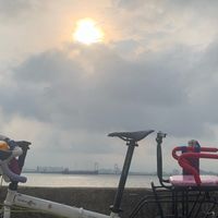 骑行手套如何选？四款半指手套深度对比