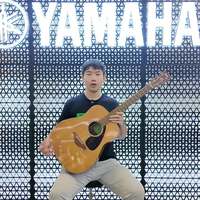 2000元吉他怎么选？卡马F1和雅马哈FG800深度对比，新手闭眼入指南