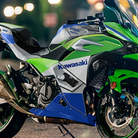 Ninja 500 vs R3：谁才是4万级仿赛最优选？