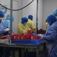 海南小酸汤杀出4000吨产值，糟粕醋如何火遍全国还卖到海外？