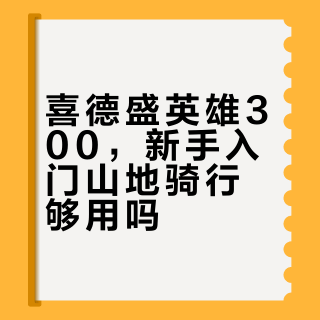 1500-2000元山地车怎么选？英雄300和勇士500深度对比避坑指南