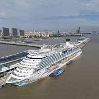 国产邮轮亲子游真相:免费活动抢不到,选错房型全程踩雷