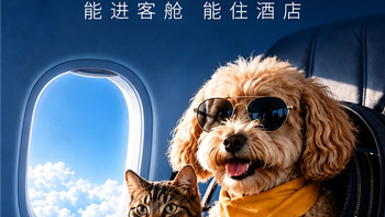 带宠物坐飞机能进客舱了！京东旅行上线宠物出行专区