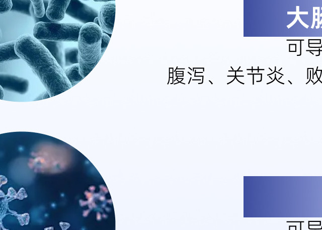 薄膜手套选购指南：灭菌、感控与外科要求