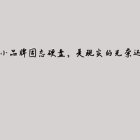 花60+买128G小品牌固态硬盘，是现实的无奈还是破局的关键？