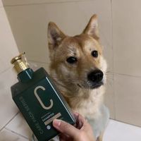 狗狗皮肤救星｜沐森堂 CP 香波太顶了
