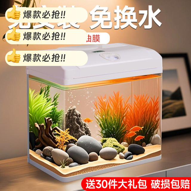 2026 新款懒人鱼缸｜客厅桌面治愈小水景，养鱼再也不用折腾💧