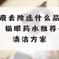 猫眼睛有泪痕用什么品牌的产品去除？2026 猫眼药水推荐+日常清洁