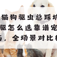2026猫狗驱虫总踩坑？内外同驱怎么选靠谱宠物驱虫药，全场景适配