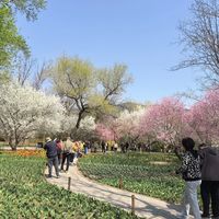 第一次去国家植物园，选错园区等于白跑