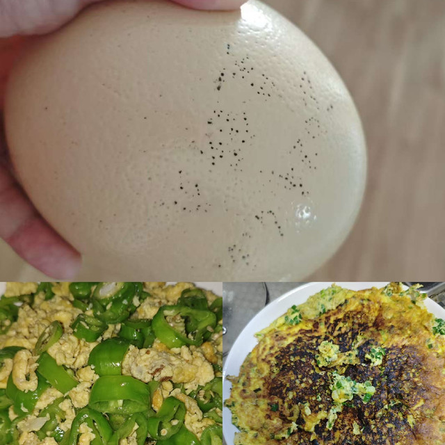 从巨型蛋到家常菜｜夏日开胃鸡蛋料理，保姆级教程！