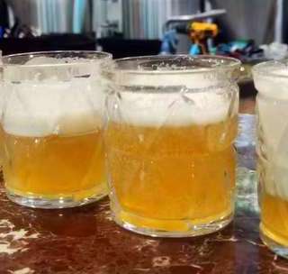 夏日微醺精酿指南|从入门到进阶,解锁夏日多元品酒体验