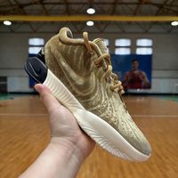 锋线实战鞋怎么选？LBJ21、LBJ22和沃兰迪911深度横评