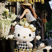 1520元的Hello Kitty永生花，到底是在买花还是买情绪？
