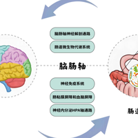 情绪益生菌别乱买!这款爆火产品缺了最关键的临床证据