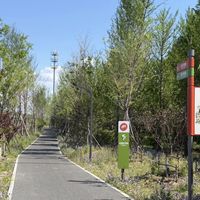千元预算怎么选？公路车、山地车、折叠车真实对比来了