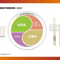 211餐盘vs彩虹餐盘：哪种更适合你家的吃饭难题？