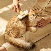 三款国产猫粮实测：谁真能从饮食源头减少猫咪掉毛？