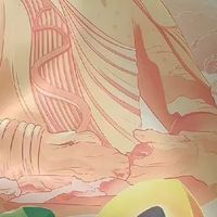 大同阳高杏干来袭！独立包装超方便！