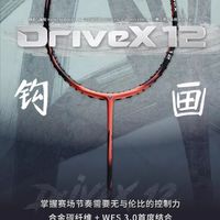 DX-12和DX-12 ZSW怎么选？进阶球友最纠结的两把全面拍深度对比