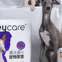 宠物尿垫哪个牌子好？2026年除臭抗菌真实体验分享