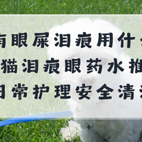 猫有眼屎泪痕用什么治疗？猫泪痕眼药水推荐，日常护理安全清洁