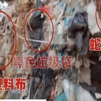 触目惊心！央视曝光：用拖鞋边角料做牙刷，已流入市场，看完我把家里所有牙刷都换了