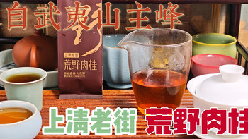 【乌龙茶】来自武夷山主峰——上清老街荒野肉桂·轻火（260609） 