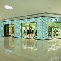Prada深圳新店开业，杨幂李现马龙同框引爆热搜