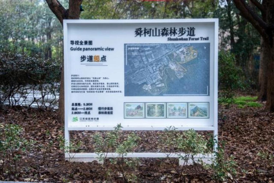 逃离喧嚣,来无锡闯进现实版绿光森林,免费吸氧超治愈