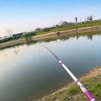新手第一根鱼竿别被参数忽悠，调性不对再轻也白搭