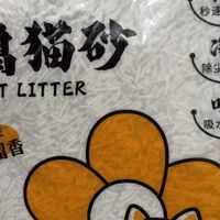 养英短两年，只留这四样真·刚需猫咪好物